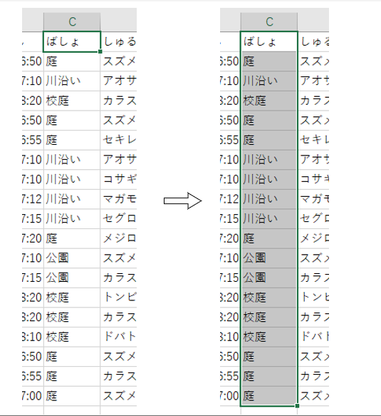 ショートカットキー Shift + Ctrl + ↓の結果