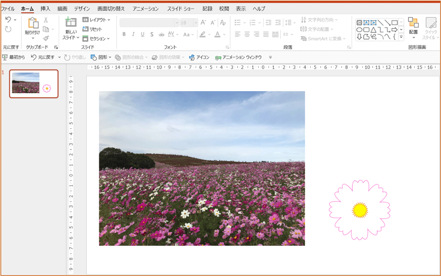 PowerPointにコスモスの写真と図を入れた様子